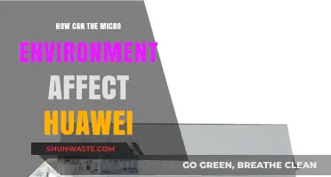 Micro Environment's Impact on Huawei's Global Operations and Strategy