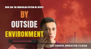 Environmental Factors Impacting Muscular Health: External Influences Explained