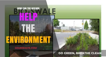 NCCADV's Green Impact: Strategies for Environmental Conservation and Sustainability