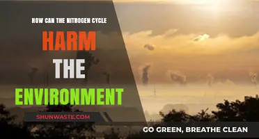 Nitrogen Cycle's Environmental Impact: Uncovering Hidden Ecological Threats
