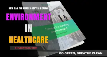 Creating Healing Spaces: Nurse-Led Strategies for Optimal Patient Care