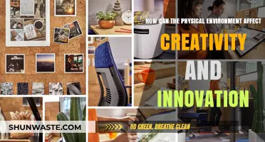 Spaces That Spark: How Physical Environments Fuel Creativity and Innovation