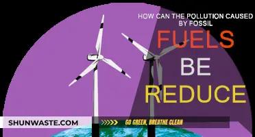 Green Energy Solutions: Reducing Fossil Fuel Pollution for a Sustainable Future