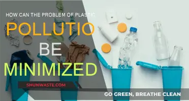 Reducing Plastic Pollution: Individual Actions, Global Impact