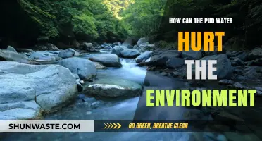 Puddles' Hidden Danger: How Standing Water Harms Ecosystems