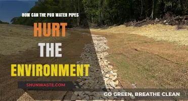 Pud Water Pipes: Unseen Environmental Threats and Sustainable Solutions