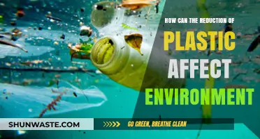 Reducing Plastic Waste: Positive Environmental Impacts and Sustainable Solutions