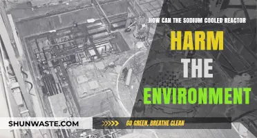 Environmental Risks of Sodium-Cooled Reactors: Potential Hazards Explained