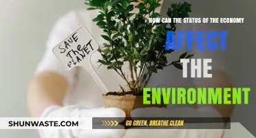 Economic Shifts and Environmental Impact: A Complex Interconnection