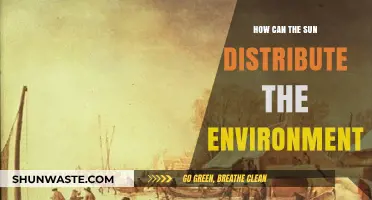 Sun's Role in Shaping and Sustaining Earth's Environment Explained