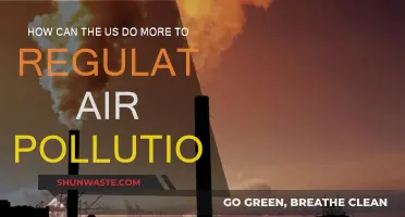 US Air Pollution: Stricter Regulation Needed Now