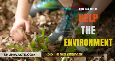 Sustainable Solutions: How the US Can Lead Environmental Conservation Efforts