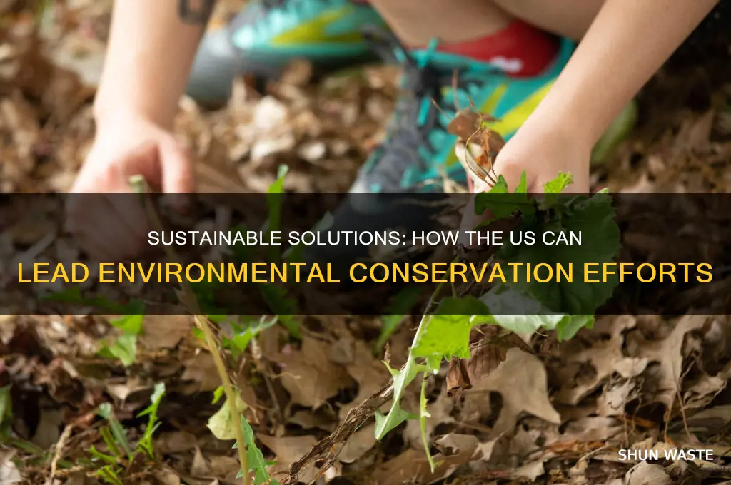 how can the us help the environment