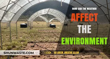 Weather's Impact: Unraveling Environmental Changes and Ecosystem Responses
