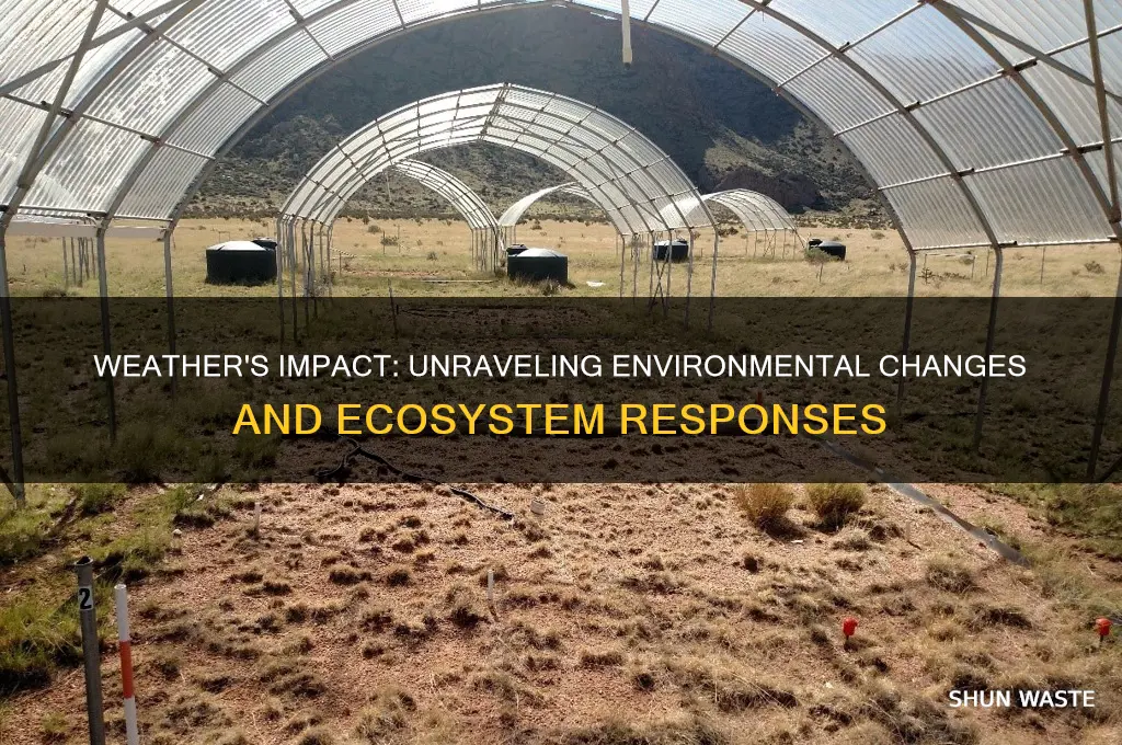 how can the weather affect the environment