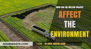 Willow Project's Environmental Impact: Risks, Benefits, and Long-Term Consequences