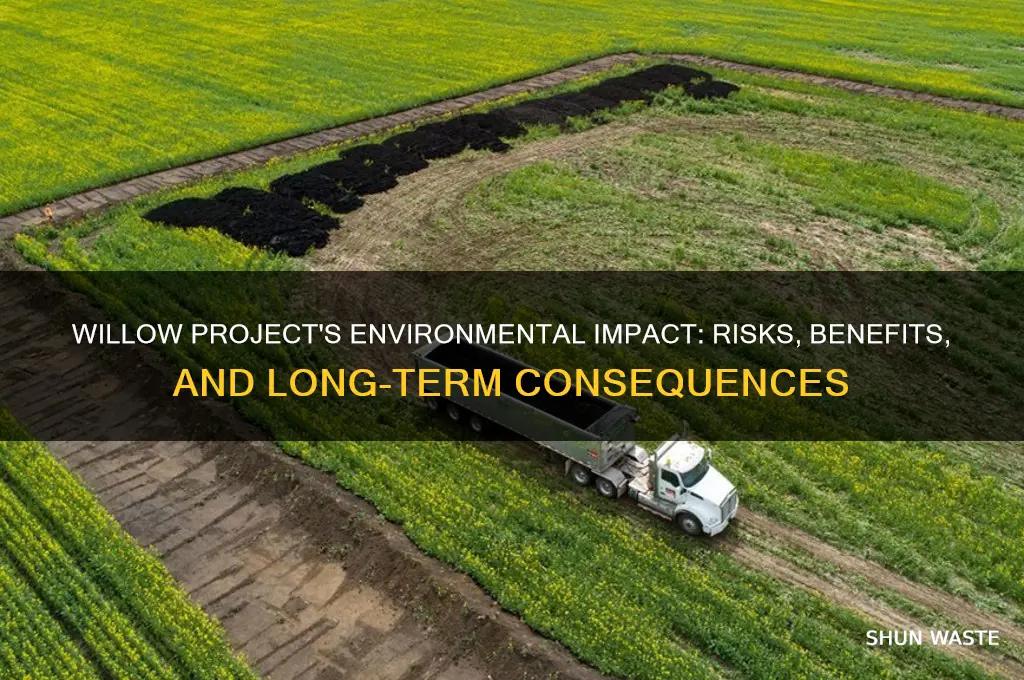 how can the willow project affect the environment