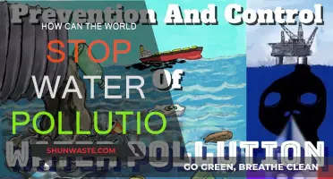 Water Pollution: Global Action for a Cleaner Future