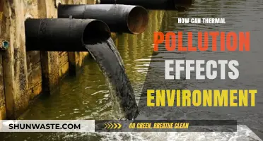 Thermal Pollution's Impact: Environmental Consequences and Ecosystem Disruption Explained