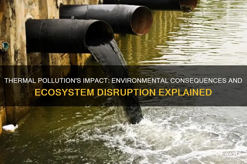 how can thermal pollution effects environment