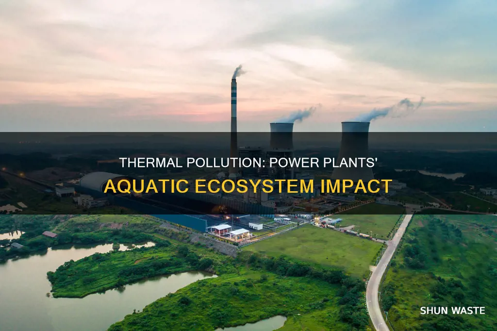 how can thermal pollution from power plants affect aquatic ecosystems