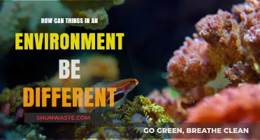 Exploring Environmental Diversity: Understanding Variations in Our Surroundings