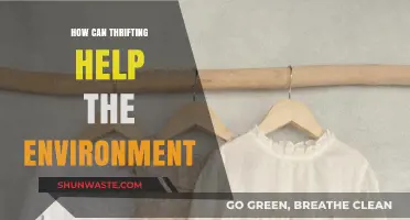 Thrifting for a Greener Future: Eco-Friendly Benefits of Secondhand Shopping