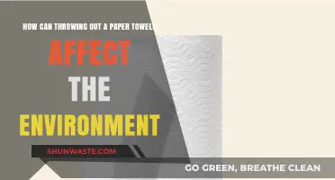 Tossing Paper Towels: Unseen Environmental Impact and Sustainable Alternatives