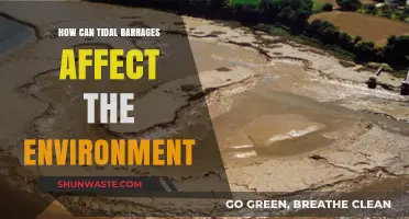 Tidal Barrages: Environmental Impacts and Ecosystem Consequences Explained