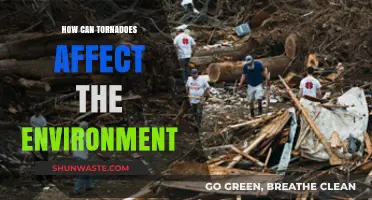 Tornadoes' Environmental Impact: Destruction, Ecosystem Changes, and Long-Term Effects