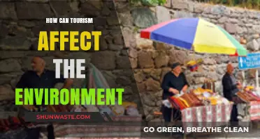 Exploring Tourism's Environmental Impact: Challenges and Sustainable Solutions