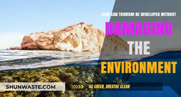 Sustainable Tourism Strategies: Balancing Growth and Environmental Preservation