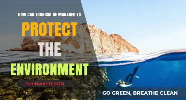 Sustainable Tourism Strategies: Balancing Visitor Experience and Environmental Preservation