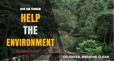 Sustainable Tourism: How Travel Can Protect and Restore Our Environment