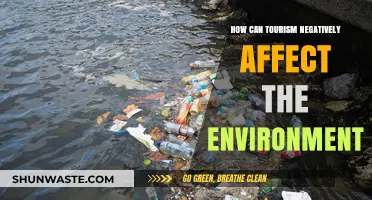 Tourism's Dark Side: Environmental Impacts and Sustainable Solutions