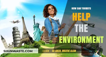 Eco-Friendly Travel Tips: How Tourists Can Protect the Environment