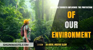 Eco-Tourism Impact: How Travelers Can Protect Our Planet