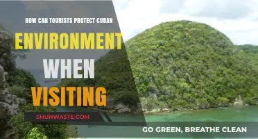 Sustainable Travel Tips: How Tourists Can Protect Cuba's Environment