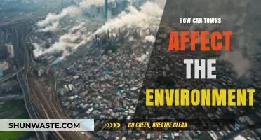 Urban Impact: How Towns Shape and Challenge Our Environment
