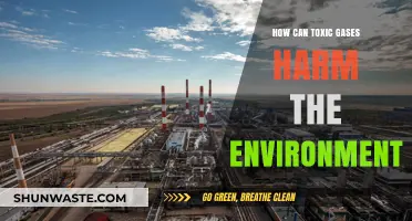Toxic Gases: Environmental Impact, Harmful Effects, and Prevention Strategies
