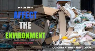 Trash's Toxic Impact: How Waste Destroys Ecosystems and Pollutes Our Planet