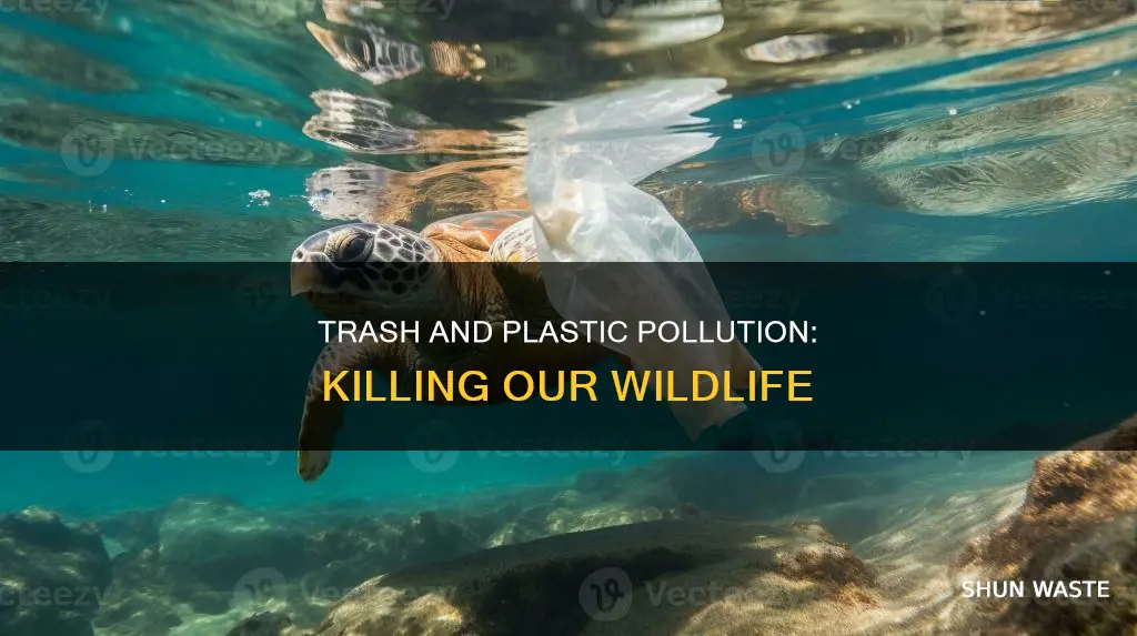 how can trash and plastic pollution affect wildlife