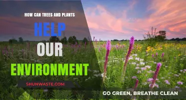 Green Guardians: How Trees and Plants Sustain Our Environment