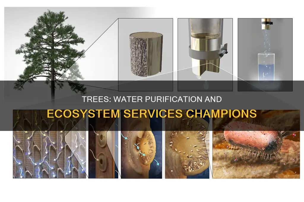 how can trees provide ecosystem services regarding water pollution