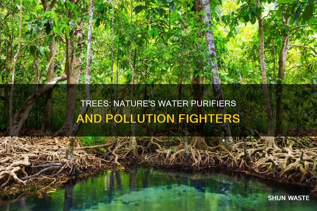 how can trees reduce water pollution