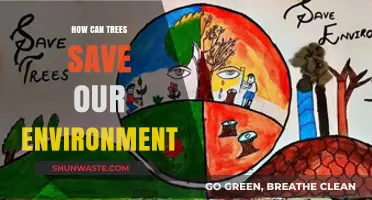 Trees: Nature's Lifeline to Combat Climate Change and Protect Ecosystems