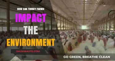 Turkey Farming's Environmental Footprint: Impacts and Sustainable Solutions