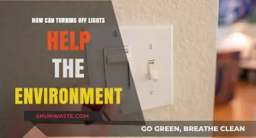 Turning Off Lights: Simple Eco-Friendly Habit with Big Environmental Impact