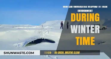 Winter Resilience: Strategies for Universities to Adapt and Thrive in Cold Climates