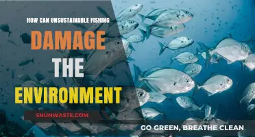 Unsustainable Fishing Practices: Devastating Environmental Impacts and Ecosystem Destruction